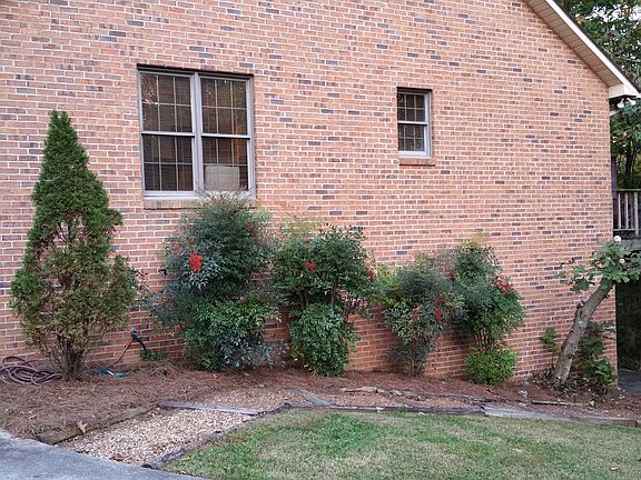 BR2 and Mstr Bath Windows