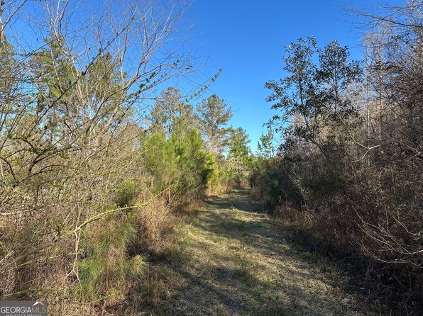 28 Mount Zion Rd, Gordon, AL 36343