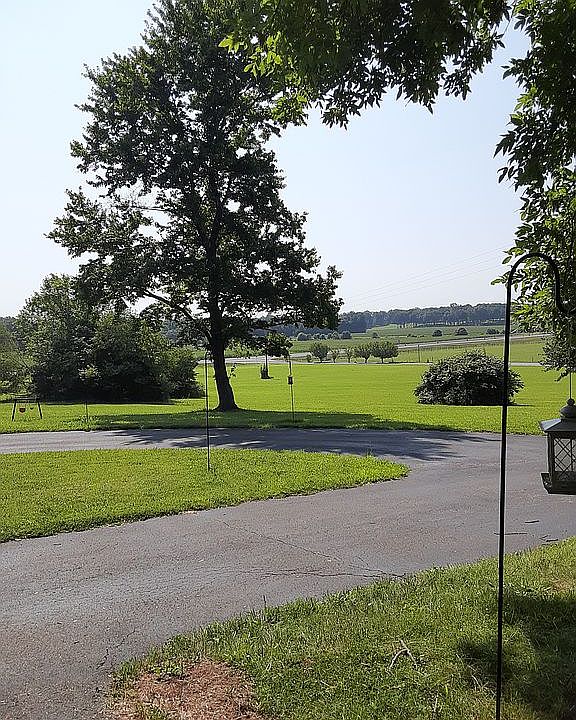 Circular driveway 