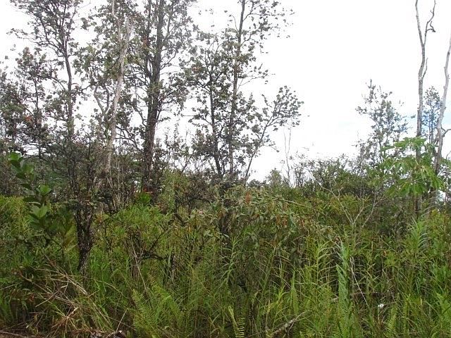1st image of 11th Ave Lot 1559