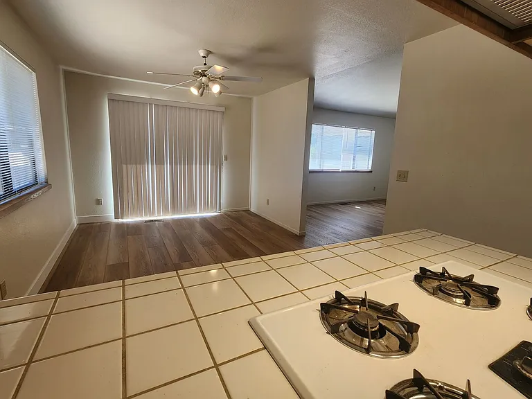 1007 Shadow Ln — Photo 12