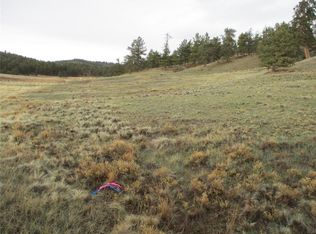 1617 Navajo Trl, Hartsel, CO 80449