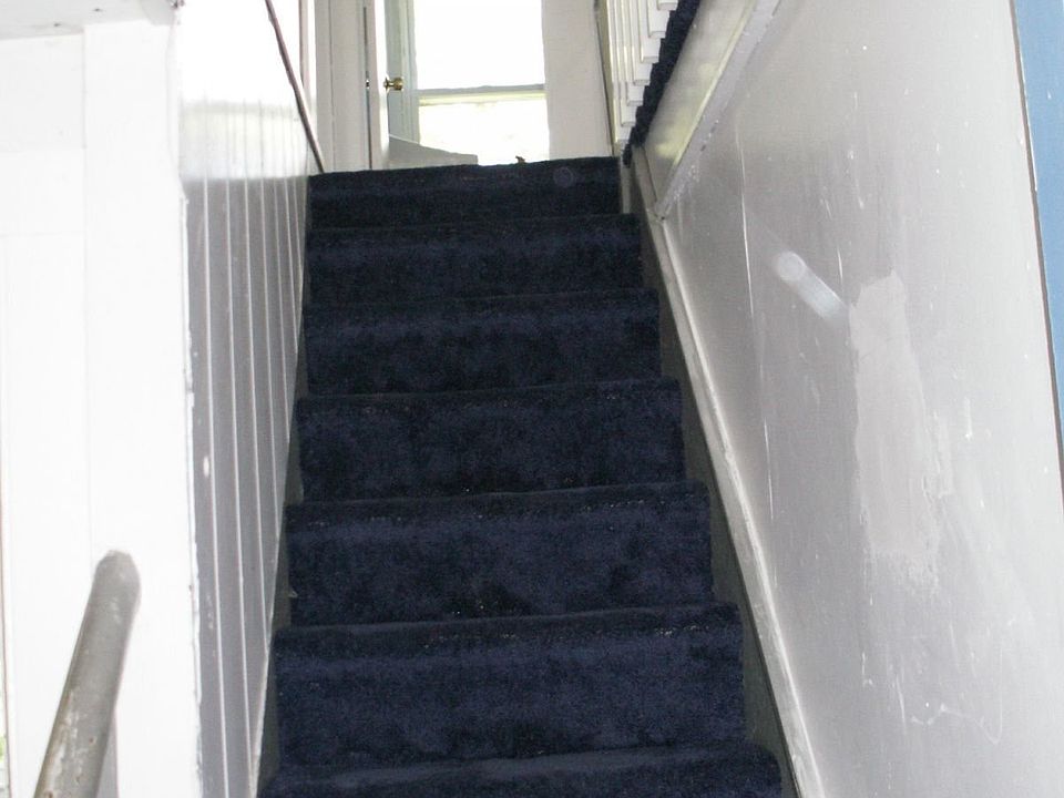 New rugs and tile