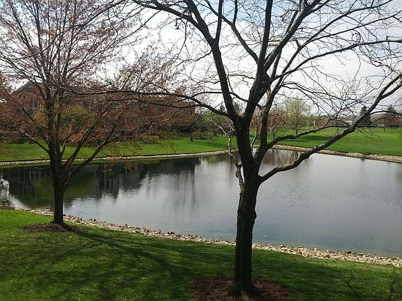Pond