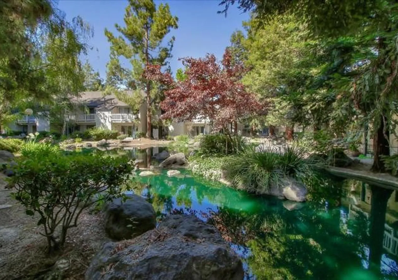 Charming Condo in the Heart of San Jose - $2,400/mo — Photo 4