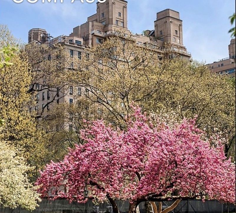 1st image of 880 5th Ave APT 17G