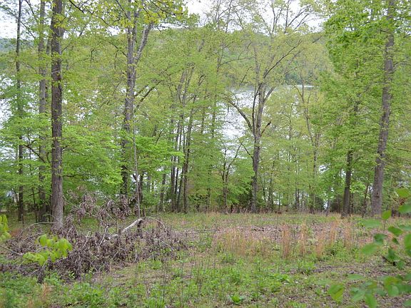 2nd image of 451 Deer Hill Ln