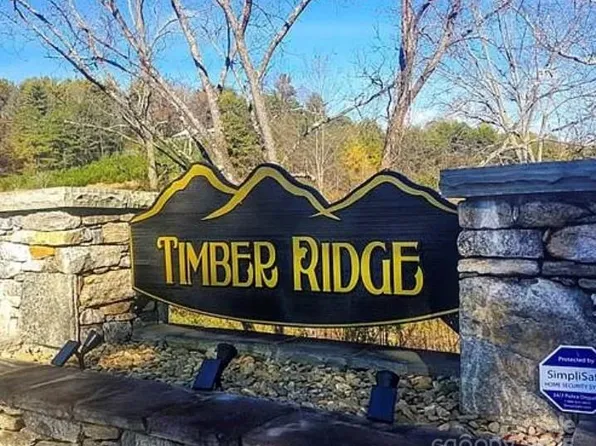 31 Timber Hill Dr Lot 19, Leicester, NC 28748