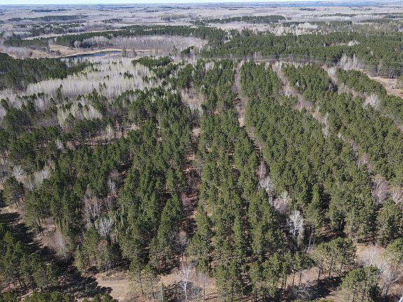 4th image of 16421AC Maple Grove Rd