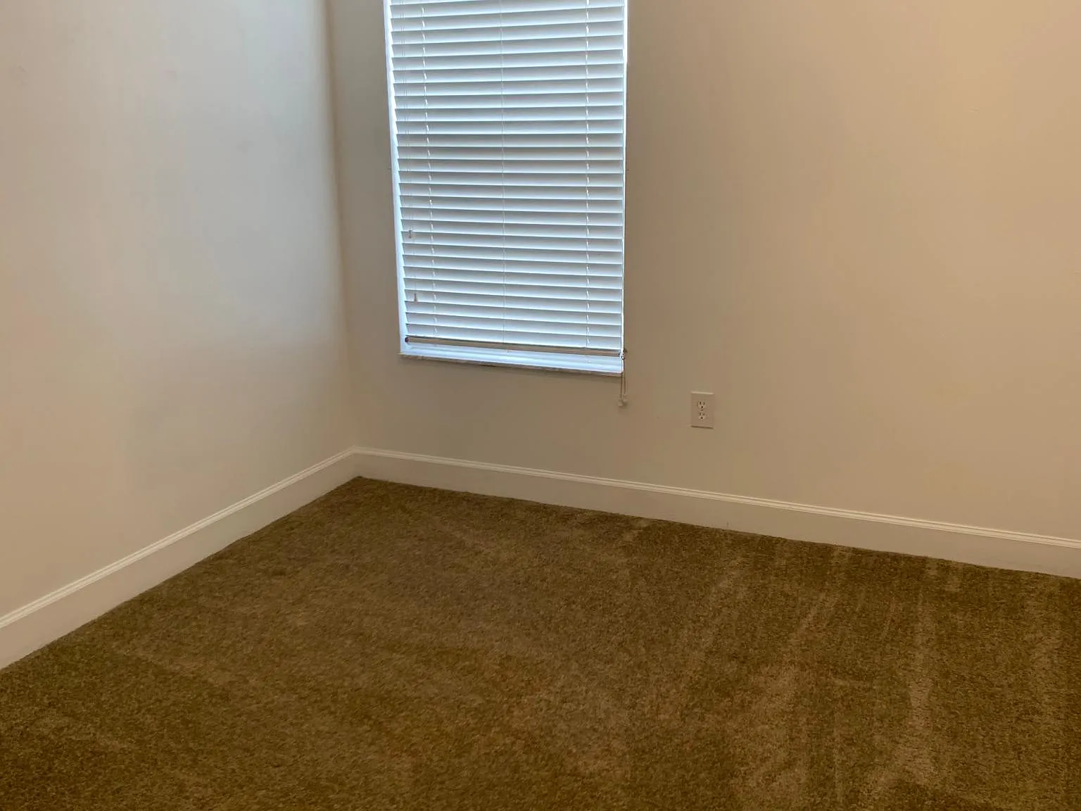 1520 Bowmore Dr — Photo 2