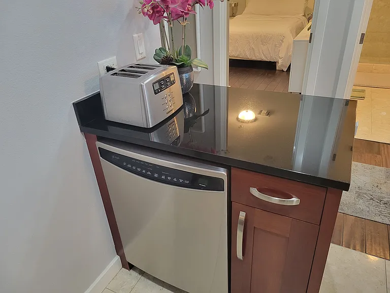 Kitchen Dishwasher