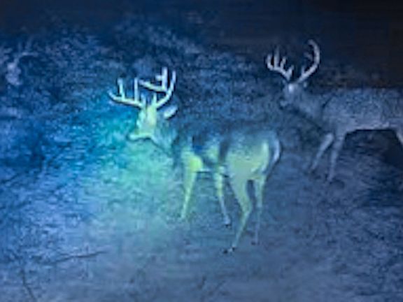 2nd image of Unk