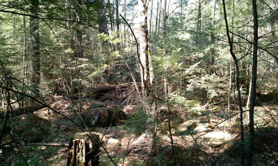 2nd image of 0 East Pond Road
