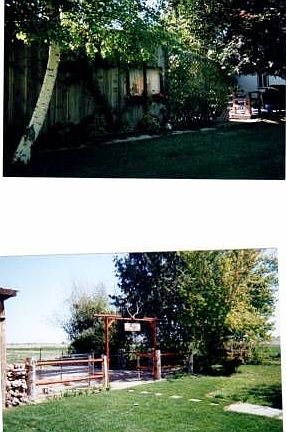 cabin & backyard
