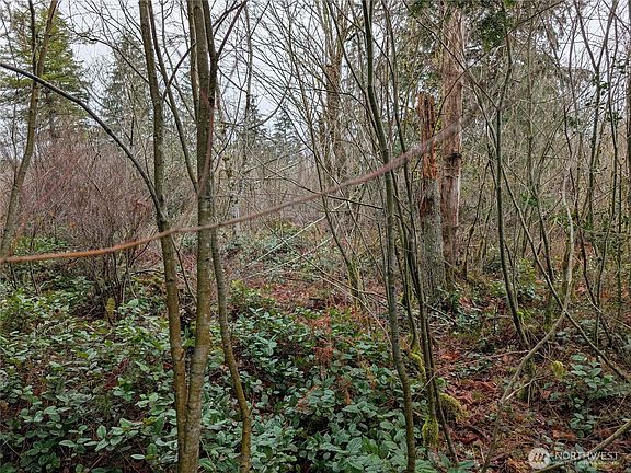 5th image of 427 XX 156th Street SE