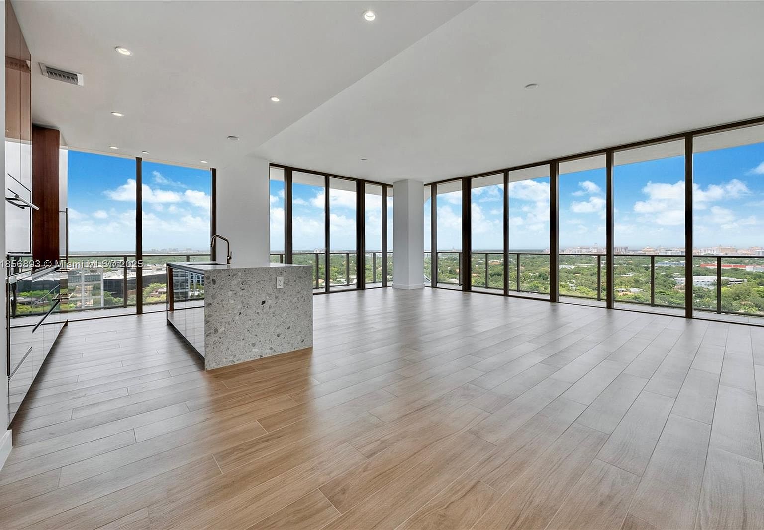 チランジア Coconut Grove Tillandsia Coconut Grove