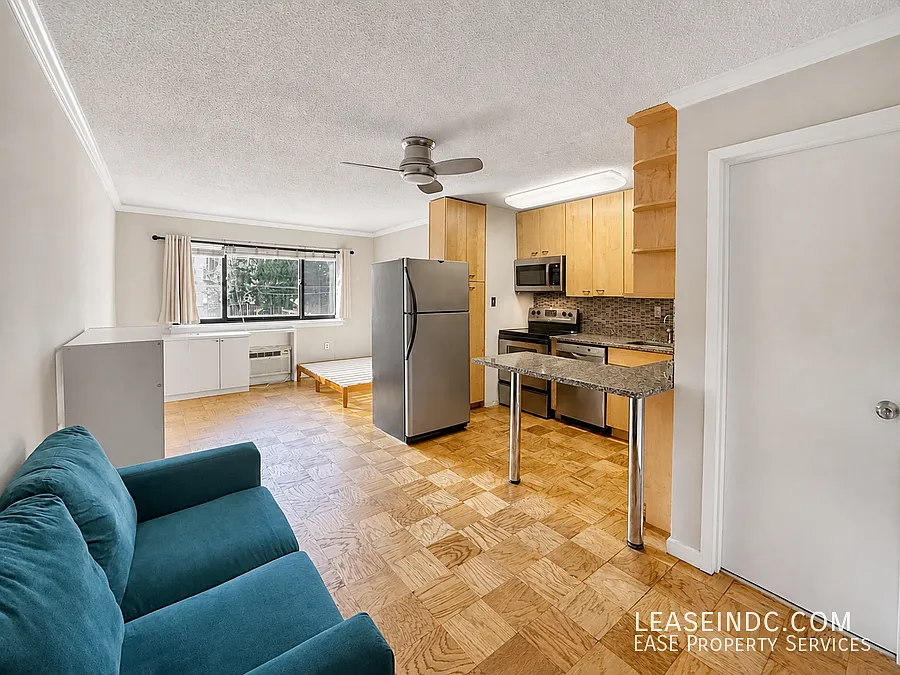 Studio, 370 sqft, $1,725 — Photo 3
