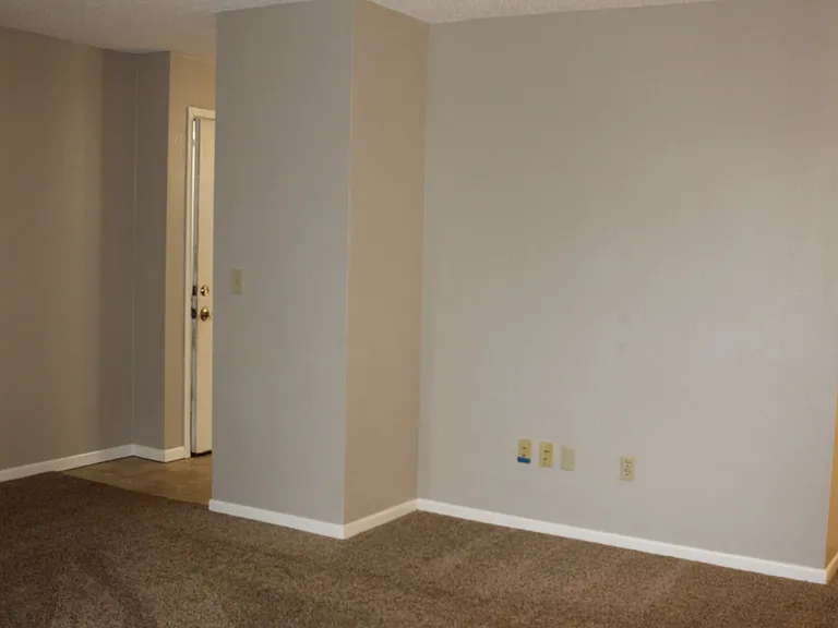 Apt 301 - 10_11192019