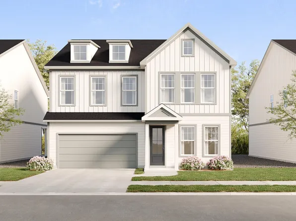 Larkspur Plan, Wildflower