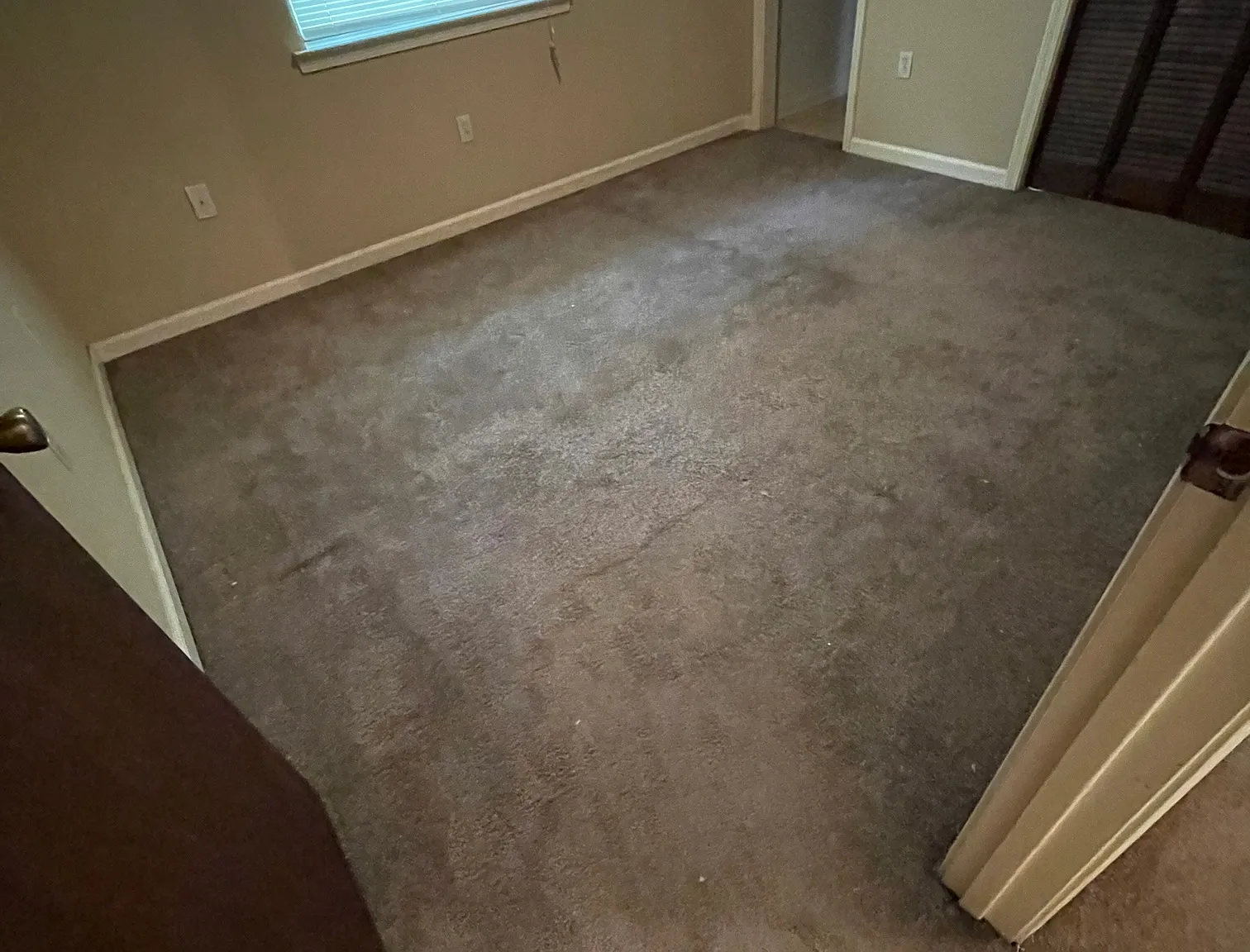 2 bed, 1.5 bath, 1100 sqft, $1,100 — Photo 3