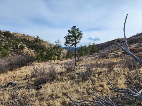 961 S Shannon Trl, Cotopaxi, CO 81223