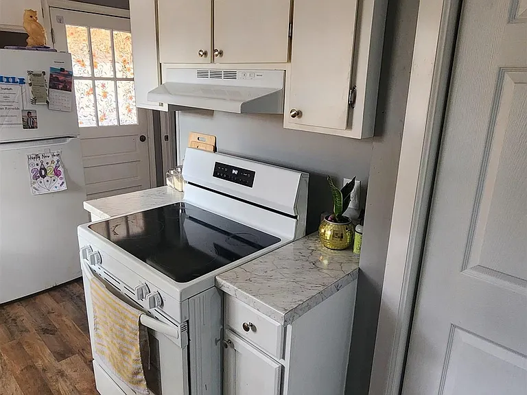 313 Vienna St — Photo 8
