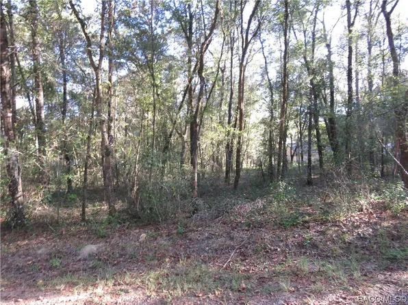 3612 E Yandle Pl, Inverness, FL 34453