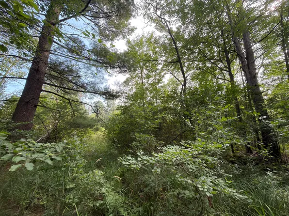 31 Us, Manistee, MI 49660