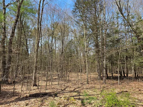 Lot 13 Tyler Road, Cochecton, NY 12726