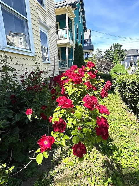 1 bed, 1284 sqft, $2,100 — Photo 3