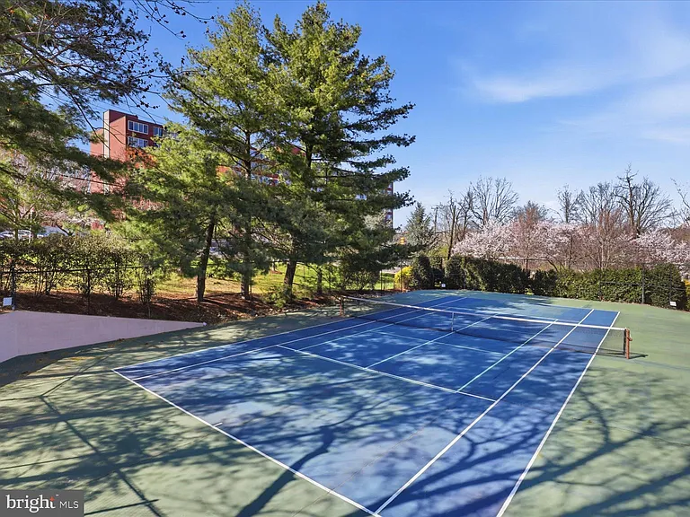 5500 Holmes Run Pkwy #210 — Photo 4