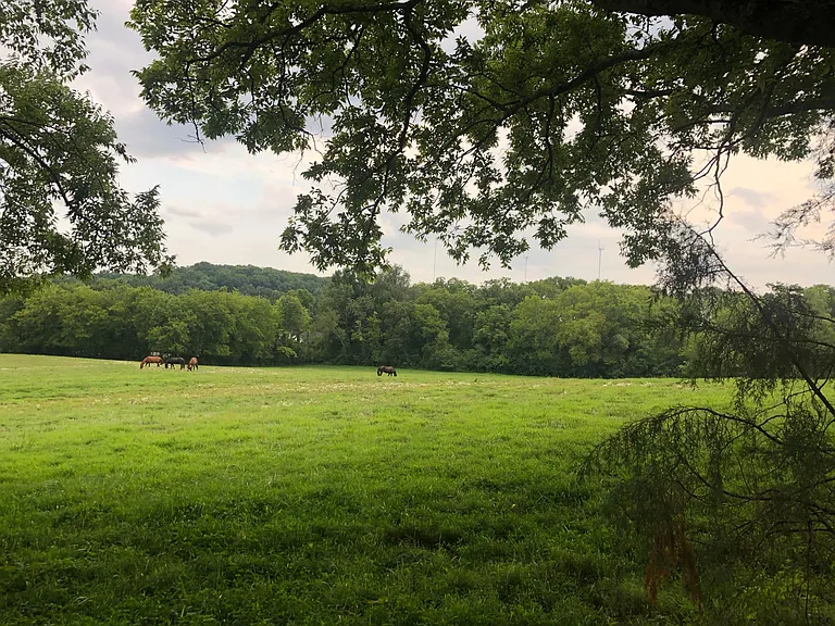 pasture by the house