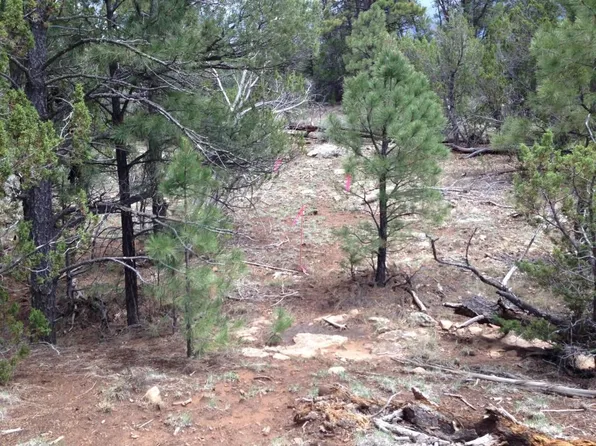 4363 Sunset Ridge Loop, Happy Jack, AZ 86024