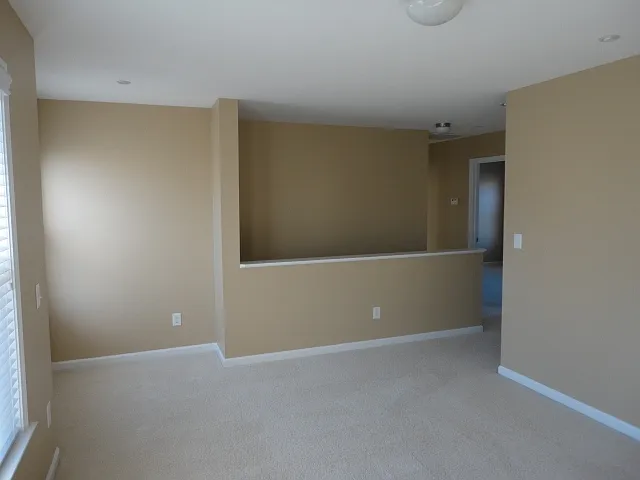 317 Collinsworth Dr — Photo 11