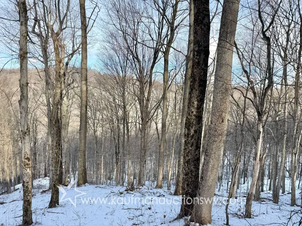 0 Tarpen Ridge Rd, New Martinsville, WV 26155