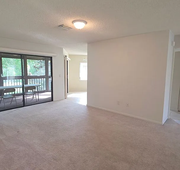 46 Hembury Ln — Photo 10