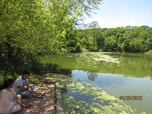 Rented by Space Real Estate | media 17