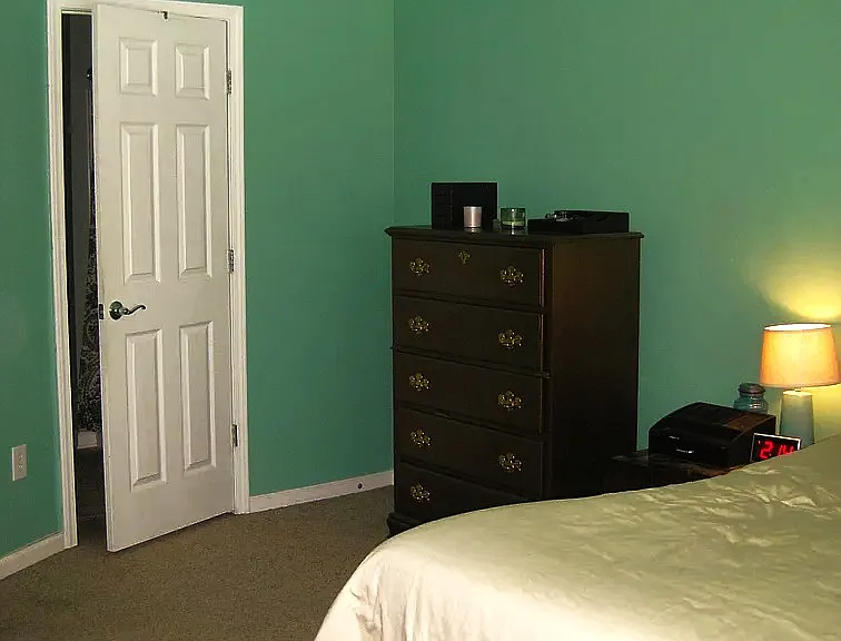 6524 Arching Branch Cir — Photo 7