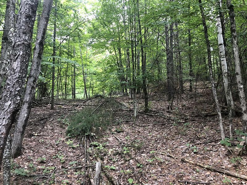 4th image of 0 CAMERON Road