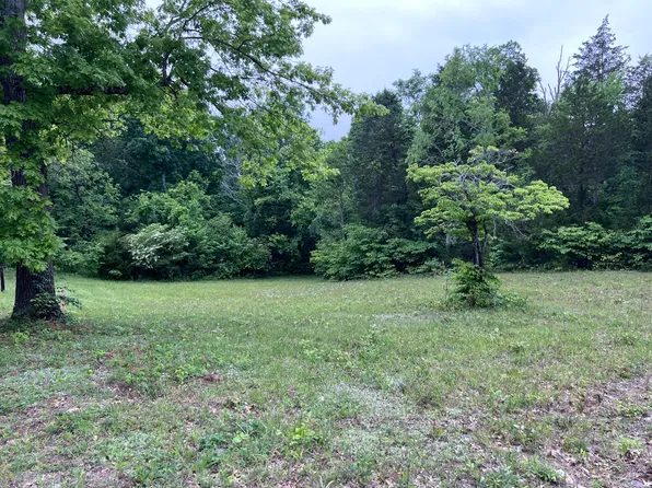 LOT 4 Clemon Rd, Bulls Gap, TN 37711