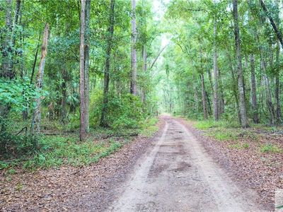 383 Oak View Drive, Richmond Hill, GA, 31324