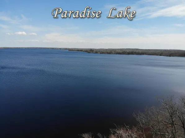 6398 Paradise Trl, Carp Lake, MI 49718