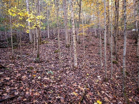 3rd image of LOT 66 Choctaw Ridge Trl