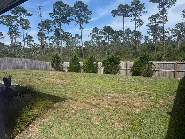 6596 Forest Bay Ave — Photo 8