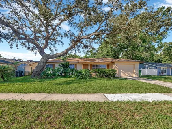 4429 Dolphin Dr, Tampa, FL 33617