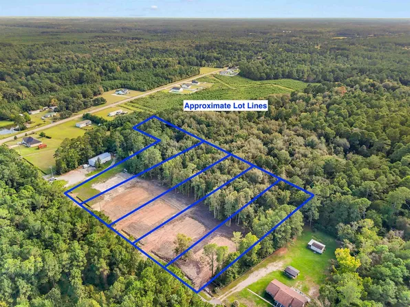 2625 Allen Dew Rd. #Tract 2, Conway, SC 29527