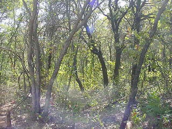 2nd image of Applewood Dr Lot 8