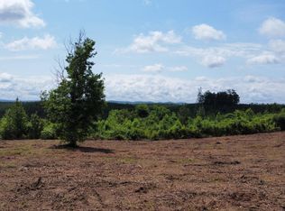 3 Lake Cir, Spring City, TN 37381