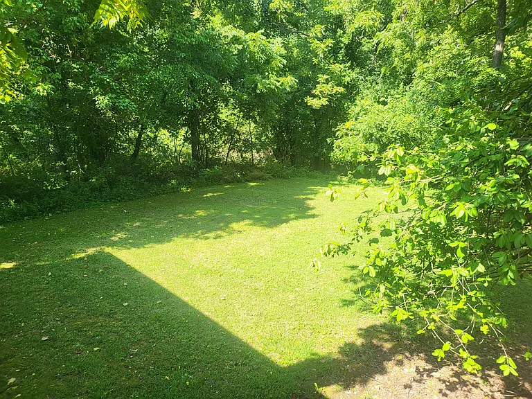 19 Shelly Dr — Photo 24