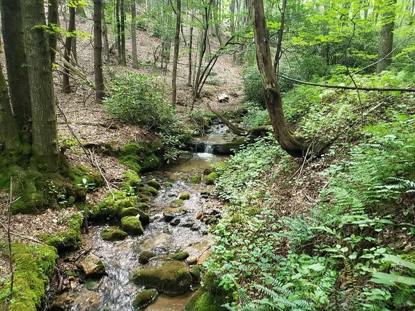 Lester Miller Ridge Rd, Millers Creek, NC 28651